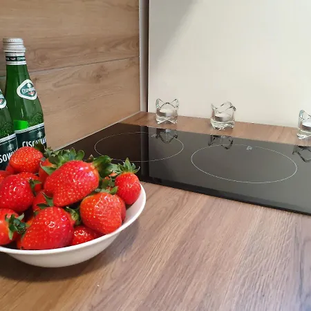 民宿 Na Poddaszu Czwarte Pietro 乌斯特卡